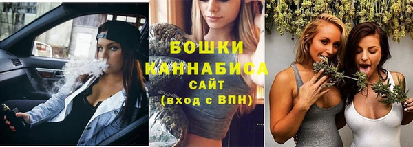 сатива Шали