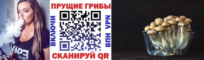 Псилоцибиновые грибы Cubensis  хочу наркоту  Ноябрьск 